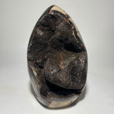 Dragon's Egg Septarian Nodule